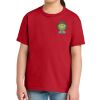 Youth Softstyle ® Midweight Tee Thumbnail