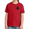 Youth Softstyle ® Midweight Tee Thumbnail