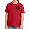 Youth Softstyle ® Midweight Tee Thumbnail