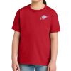 Youth Softstyle ® Midweight Tee Thumbnail